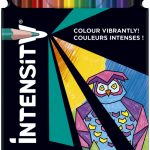 LAPIS BIC INTENSIT 12 UNIDADES