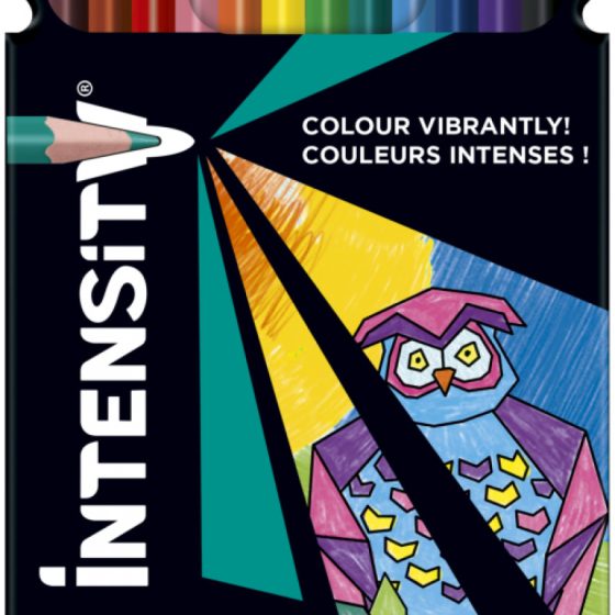 LAPIS BIC INTENSIT 12 UNIDADES