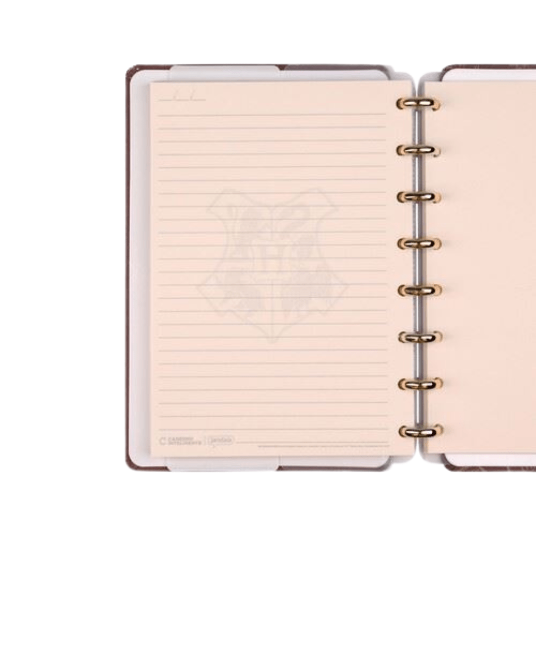 CADERNO INTELIGENTE PEQUENO SORTING HAT BY HARRY POTTER